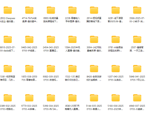 网创vip课程视频教程、付费网络课程以及网赚培训-不二云端